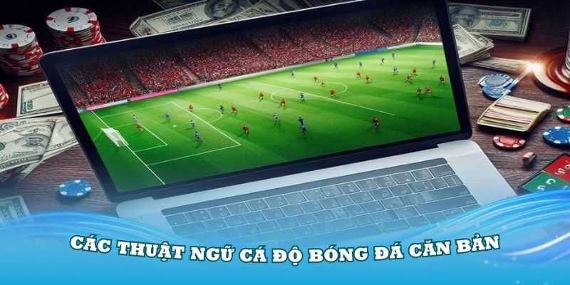 Các thuật ngữ cá độ bóng đá căn bản cần nhớ