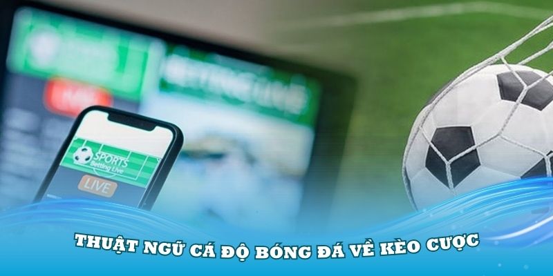 Thuật ngữ cá độ bóng đá về kèo cược cơ bản nên nắm