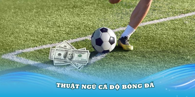 thuật ngữ cá độ bóng đá