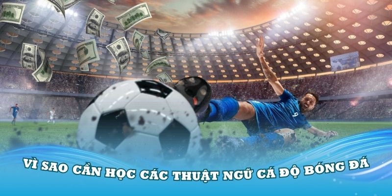 Vì sao mọi người cần phải học các thuật ngữ cá độ bóng đá